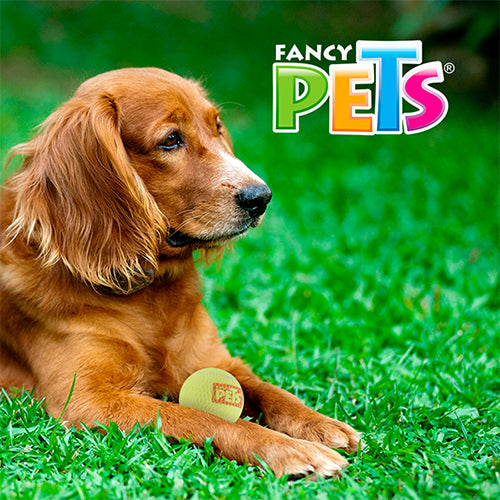 JUGUETE PELOTA GDE DE TENIS C/SQUEAKER - 1 PZ