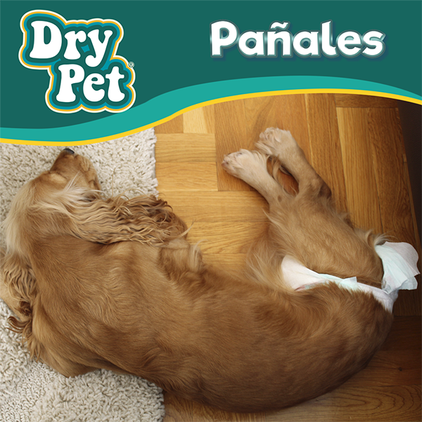PAÑALES GDE P/PERRO - 12 PZ