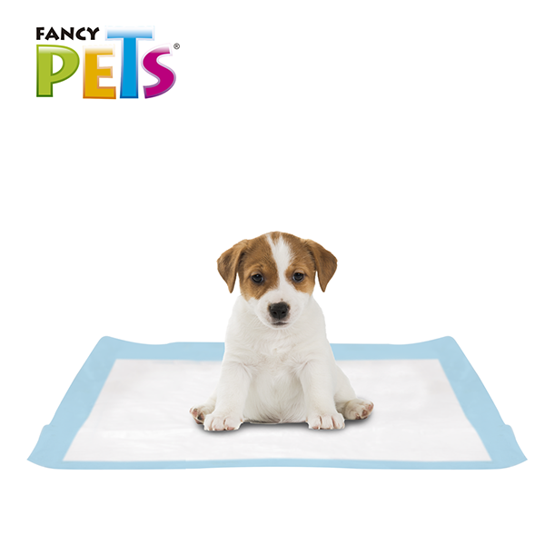 TAPETE ENTRENADOR SOFT PAD - 7 PZ