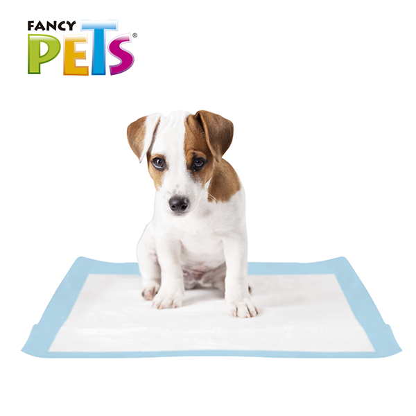 TAPETE ENTRENADOR SOFT PAD - 14 PZ