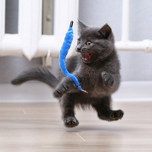 Juguetes/ Gato