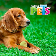 JUGUETE PELOTA GDE DE TENIS C/SQUEAKER - 1 PZ