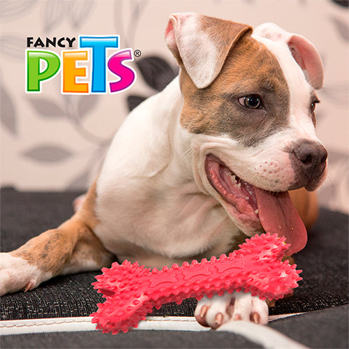 JUGUETE HUESO DE CAUCHO P/PREMIO