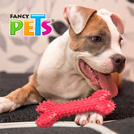 JUGUETE HUESO DE CAUCHO P/PREMIO