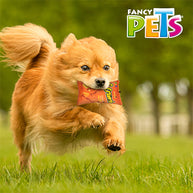 JUGUETE DE TELA DOGGIE SCRUNCH QUESO