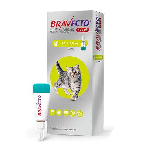 Bravecto Plus for Cat 112.5 mg 1.2 a 2.8 K SMALL Verde