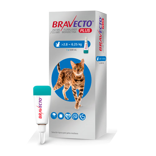 Bravecto Plus for Cat 250 mg 2.8 a 6.2 K MEDIUM Azul