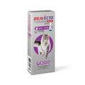 Bravecto Plus for Cat 500 mg 6.2 a 12.5 K LARGE Morado Rosa