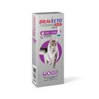 Bravecto Plus for Cat 500 mg 6.2 a 12.5 K LARGE Morado Rosa