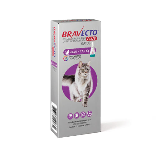 Bravecto Plus for Cat 500 mg 6.2 a 12.5 K LARGE Morado Rosa