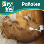 PAÑALES GDE P/PERRO - 12 PZ