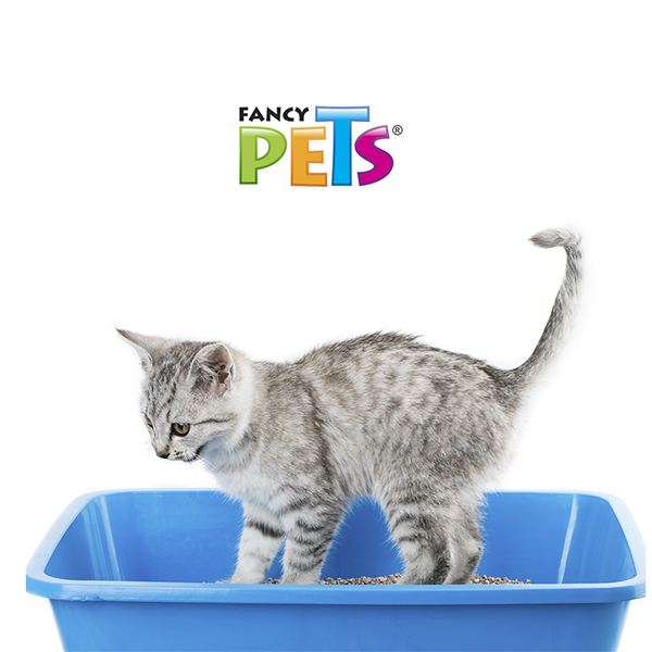 ARENA P/GATO 3 KG