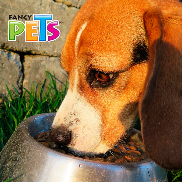 PLATO DE ACERO 16 OZ (454 G)