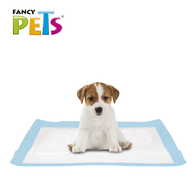 TAPETE ENTRENADOR SOFT PAD - 7 PZ
