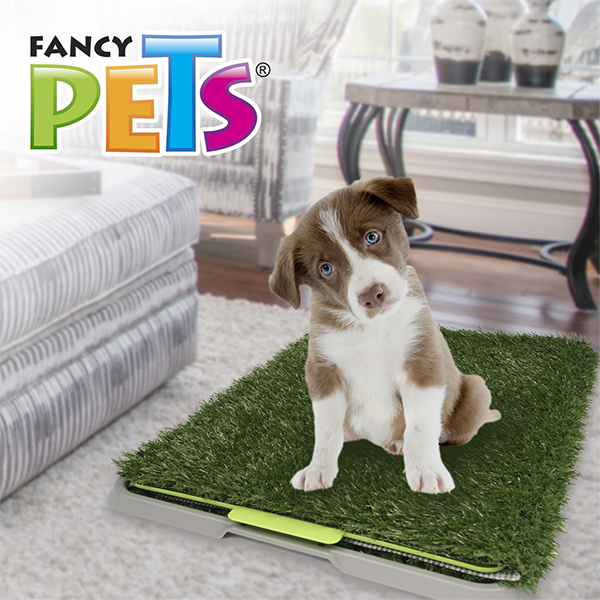 DOGGIE GRASS CHICO