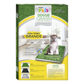 DOGGIE GRASS GDE