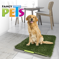 DOGGIE GRASS GDE