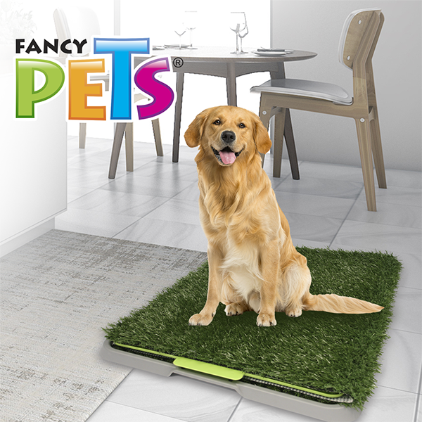 DOGGIE GRASS GDE