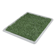 DOGGIE GRASS XCH 50 X 40 CM