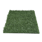 DOGGIE GRASS XCH 50 X 40 CM
