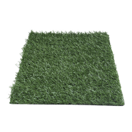 DOGGIE GRASS XCH 50 X 40 CM