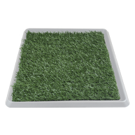 DOGGIE GRASS XCH 50 X 40 CM