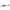 JUGUETE RATON - 4 PZ