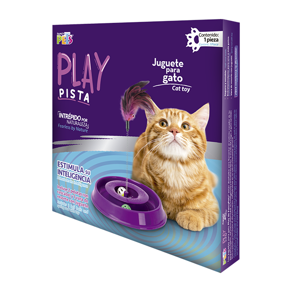 JUGUETE PISTA PLAY