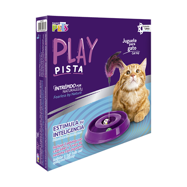 JUGUETE PISTA PLAY