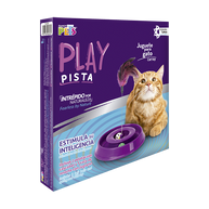 JUGUETE PISTA PLAY