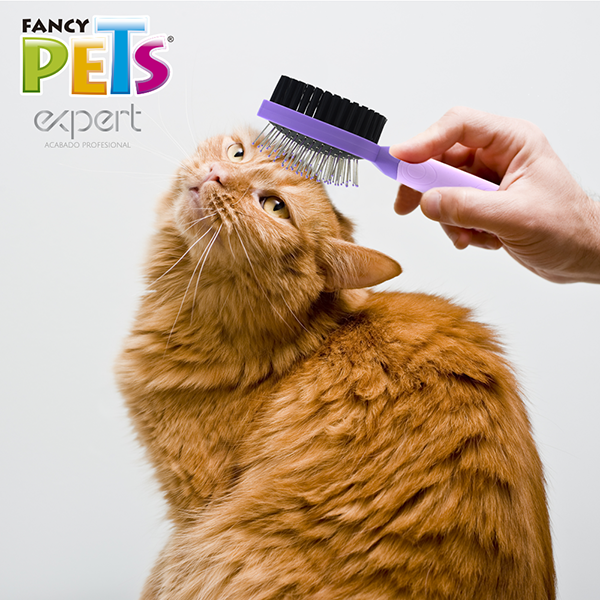 CEPILLO DOBLE P/GATO EXPERT
