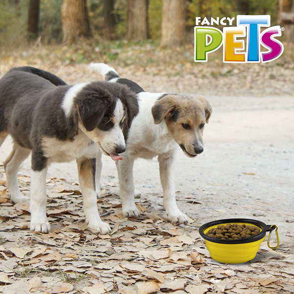 PLATO PLEGABLE MED P/VIAJE